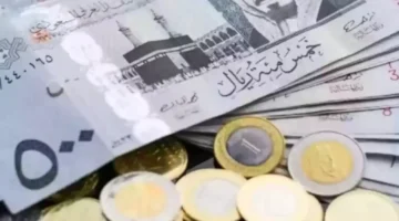 سعر الريال السعودي.. استقرار ملحوظ أمام الجنيه المصري في تعاملات البنوك اليومية